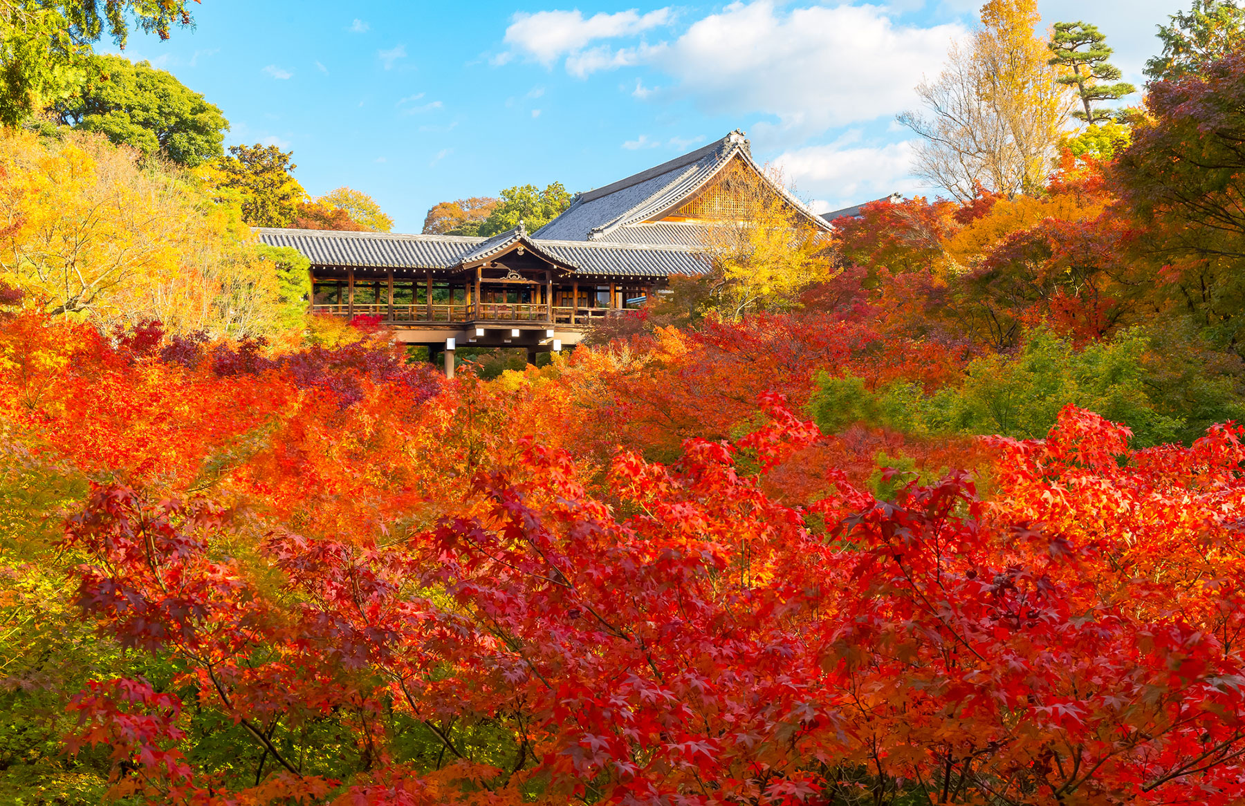东福寺